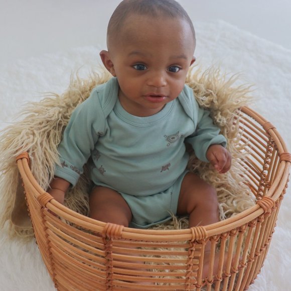 BÈBÈNCA ORGANICS - Hawksbill Organic Onesie - Turtle Print - Picture 3 of 3